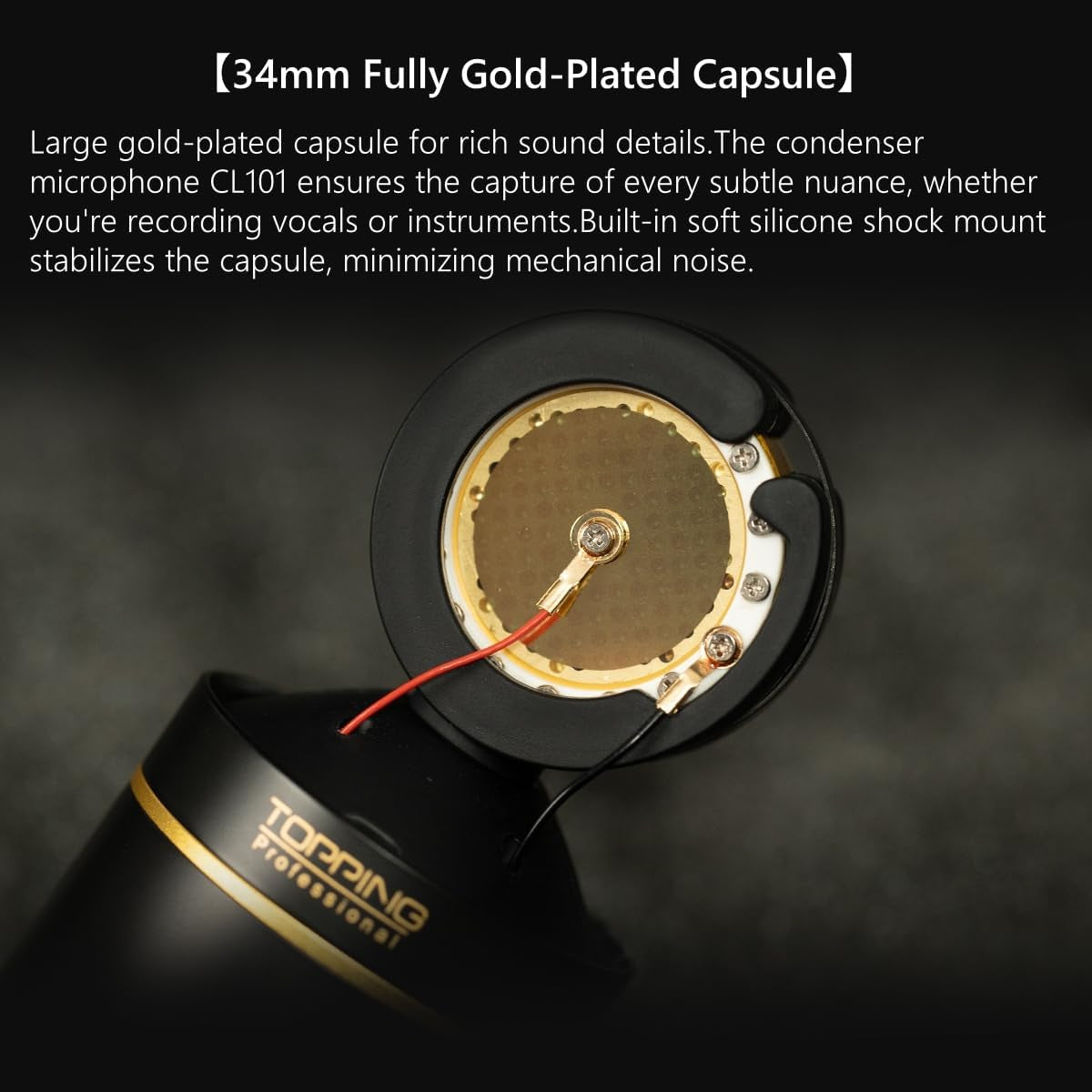 CL101 Studio Condenser Microphone - Cardioid Polar Pattern, Ultra-Low Noise, 34Mm Gold-Plated Capsule, Professional Recording & Streaming Mic (Black)